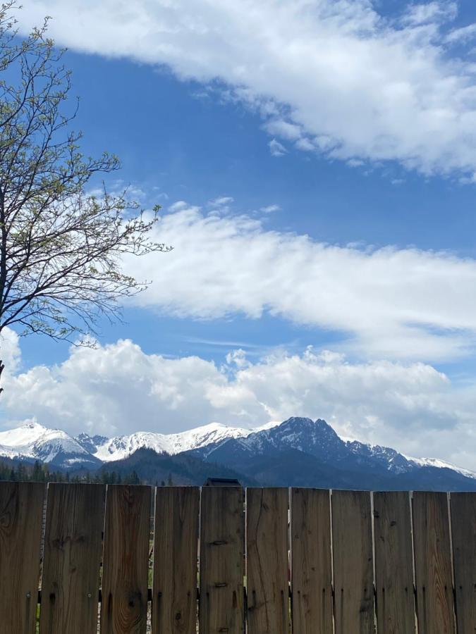 Jawor Zakopane